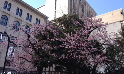 日本東京家政大學(xué)怎么樣？